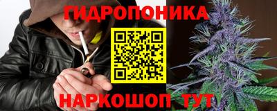 прущие крисы Гуково